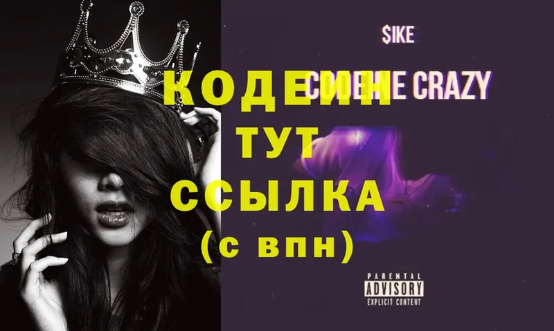 Codein Purple Drank  где можно купить   Кадников 