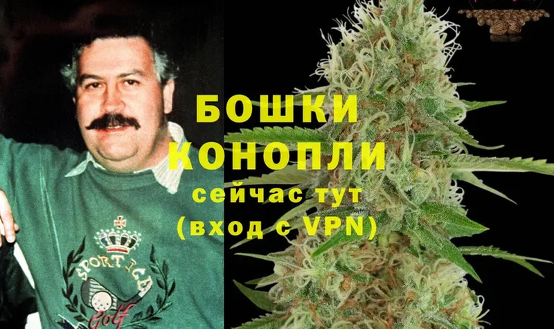 Бошки марихуана THC 21%  Кадников 